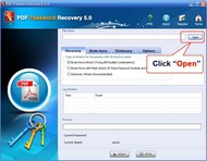 Any PDF Password Recovery screenshot